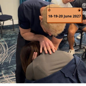 THE ART OF THE ADJUSTMENT - The Full Spine Series (from the beginning to mastery) -